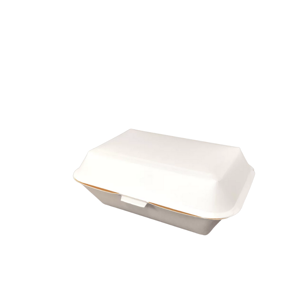 EB04B Boîte rectangulaire en carton blanc refermable