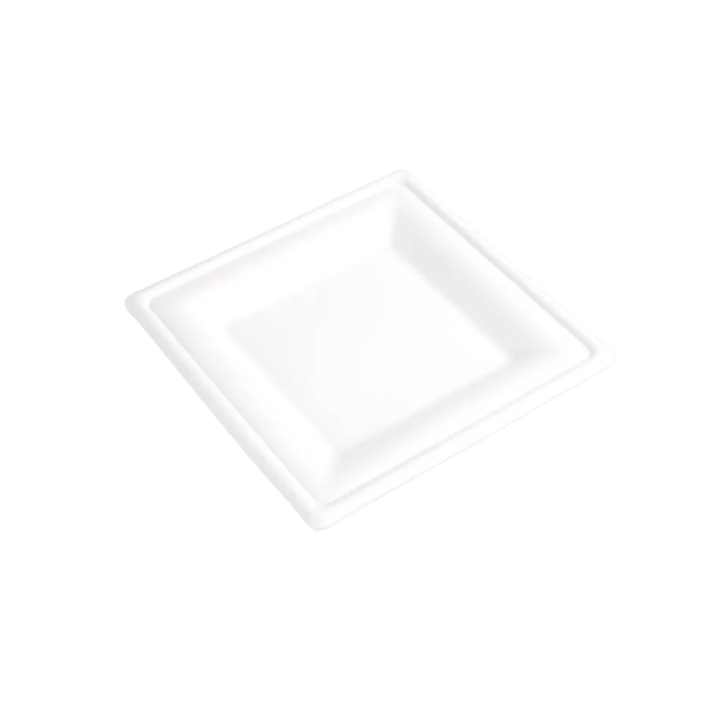 TP060 (2) Assiette carrée en pulpe de canne blanche pour tout type de réception. Assiette 100% biodégradable et compostable