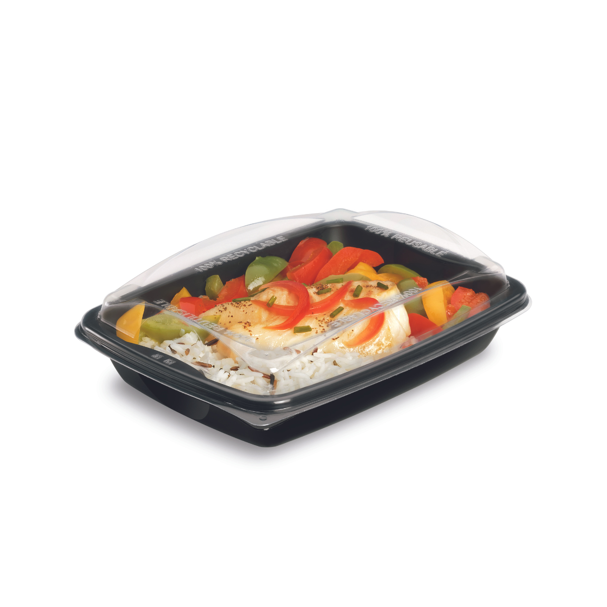 TA551NP barquette bento noir recyclable