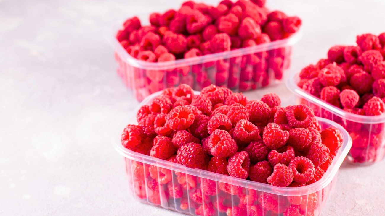 barquettes plastiques